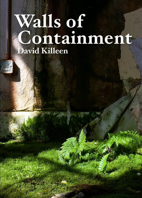 Walls of Containment, David Killeen