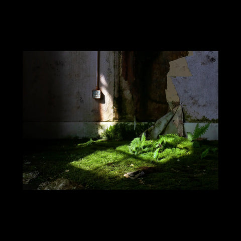 Walls of Containment, David Killeen