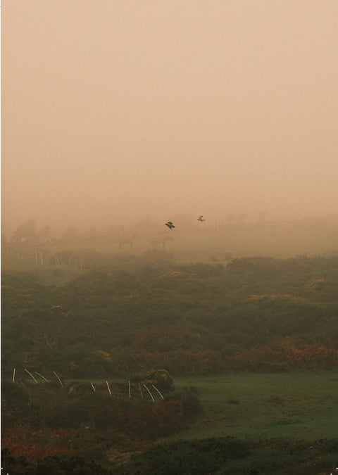 Dawn to Dusk, Anastasiia Huminska
