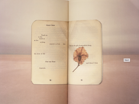 Dear Franklin, Kurt Tong