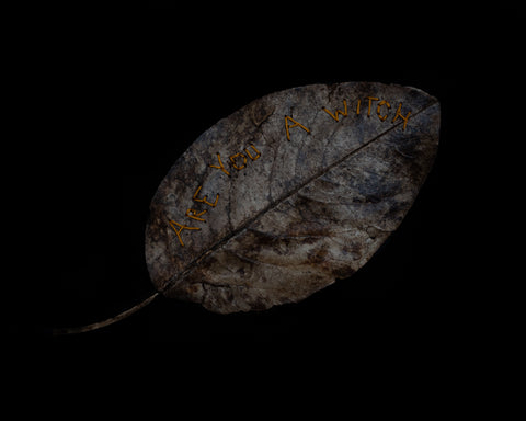 Dee Byrne, Embroidered Leaf