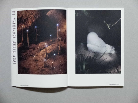 Der Greif, Issue 17