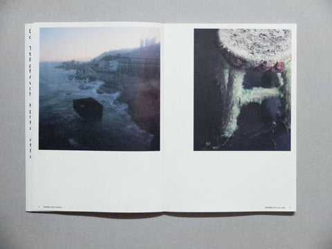 Der Greif, Issue 17