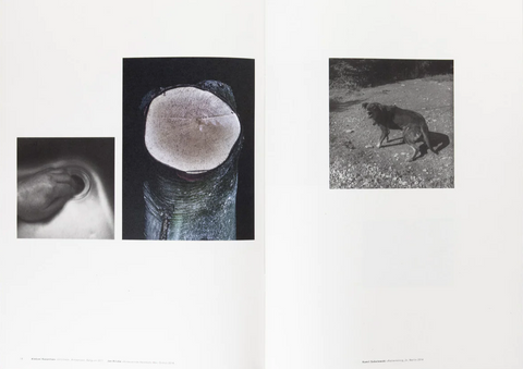 Der Greif, Issue 8