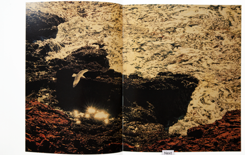 Des Oiseaux, Albarrán Cabrera