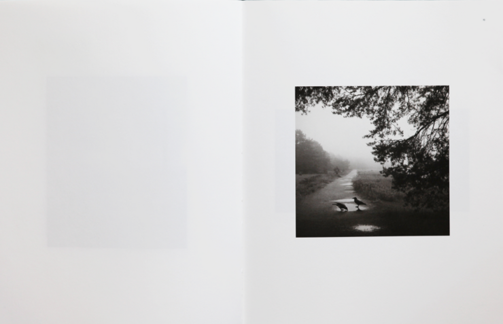 Des Oiseaux, Pentti Sammallahti – The Library Project