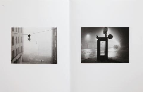 Des Oiseaux, Pentti Sammallahti