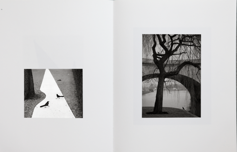 Des Oiseaux, Pentti Sammallahti