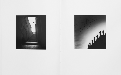 Des Oiseaux, Micheal Kenna