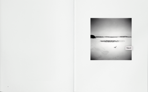 Des Oiseaux, Micheal Kenna