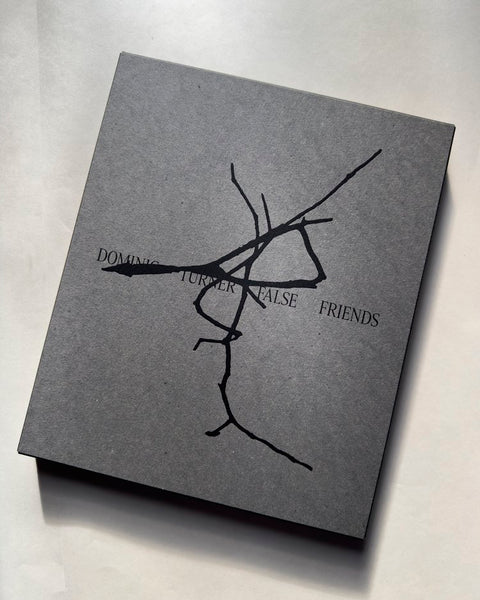 False Friends (Special Edition), Dominic Turner