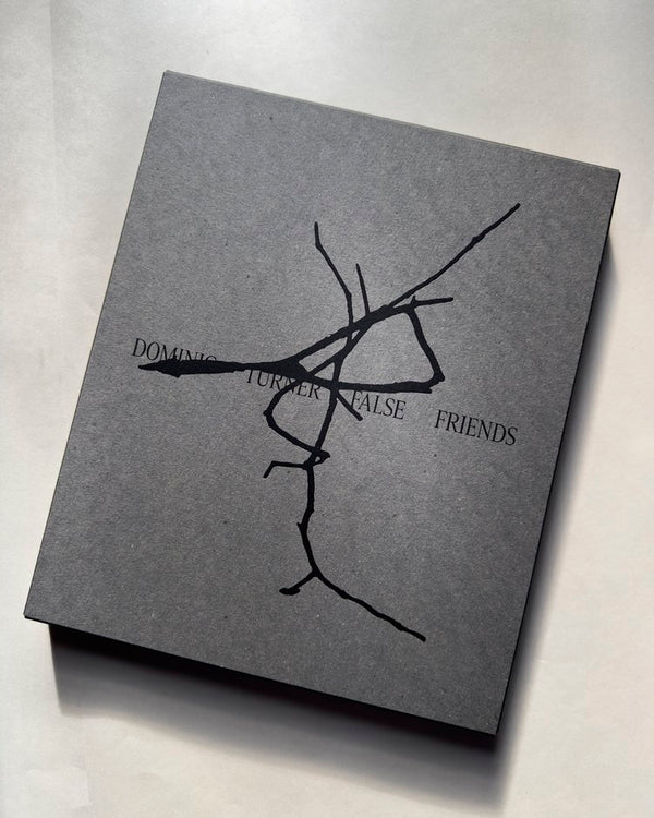 False Friends (Special Edition), Dominic Turner