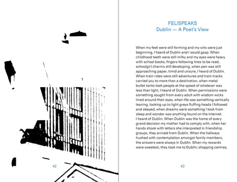 Dublin Exchange: Reflections from a City in Flux