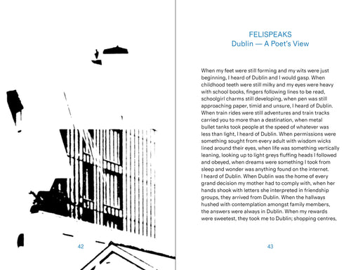 PRE-ORDER: Dublin Exchange: Reflections from a City in Flux