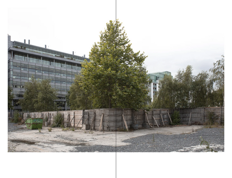 Dublin Exchange: Reflections from a City in Flux