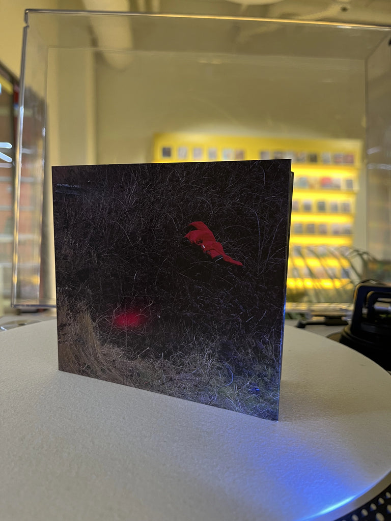 D1x25 6 Vinyl-Boxset, D1-Aufnahmen