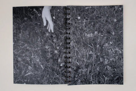 Each one started, each one started, each one started: A Reader for The Long Grass (2022–24), Christopher Steenson
