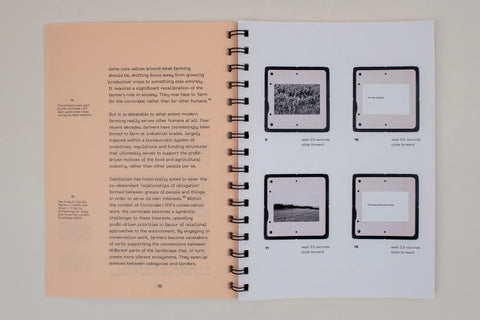 Each one started, each one started, each one started: A Reader for The Long Grass (2022–24), Christopher Steenson