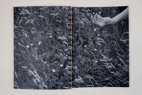 Each one started, each one started, each one started: A Reader for The Long Grass (2022–24), Christopher Steenson