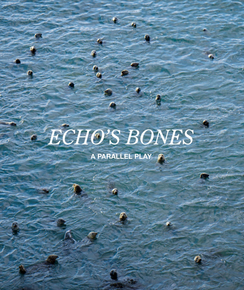 Echo's Bones: A Parallel Play, Sarah Browne (Hrsg.)