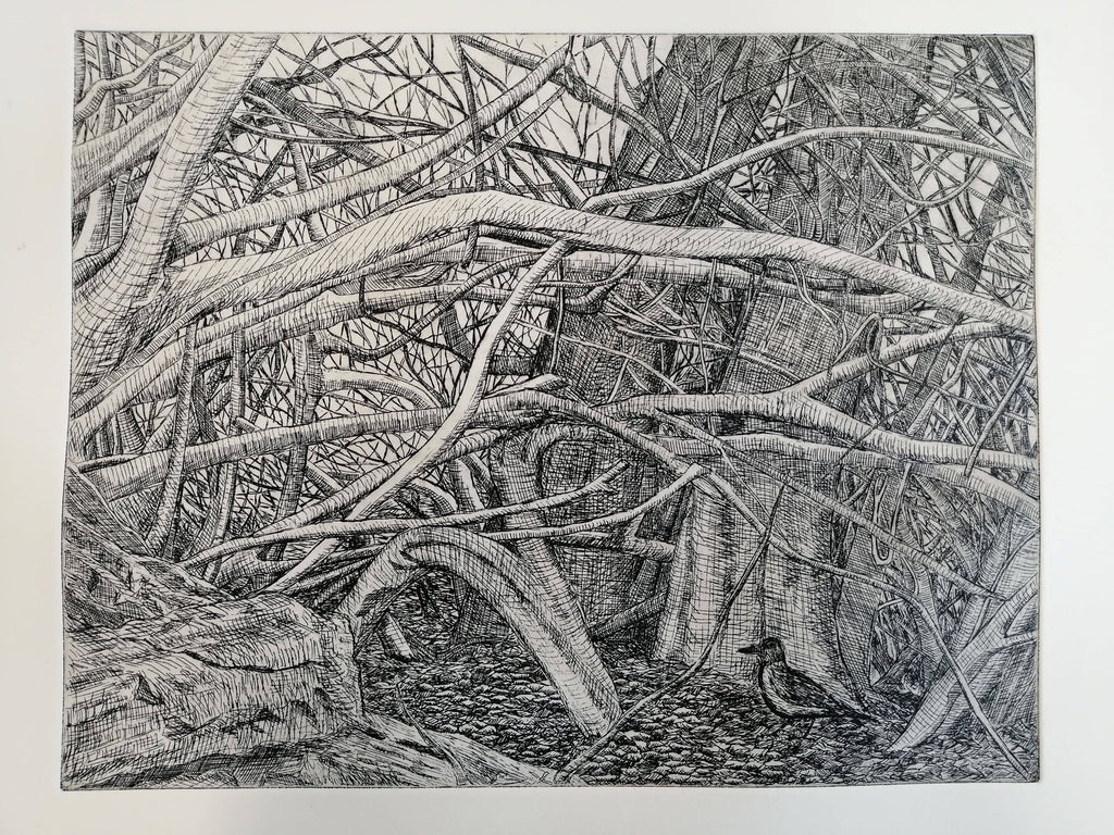 Eimhin Farrell, Tangled Branches with Hooded Crow