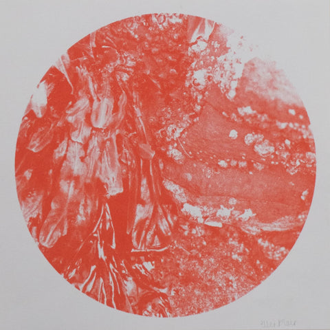 Ellen Blair, Seaweed Sun