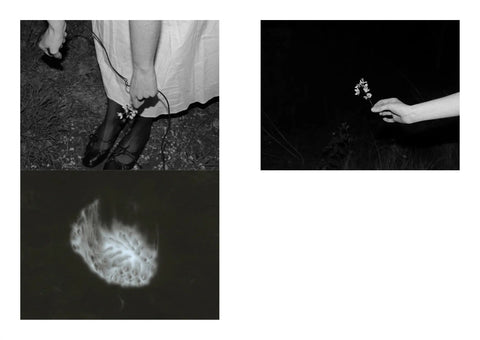 the right hand holds the left, Emily O'Connell