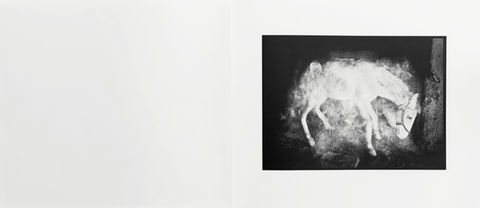 End Time City, Michael Ackerman