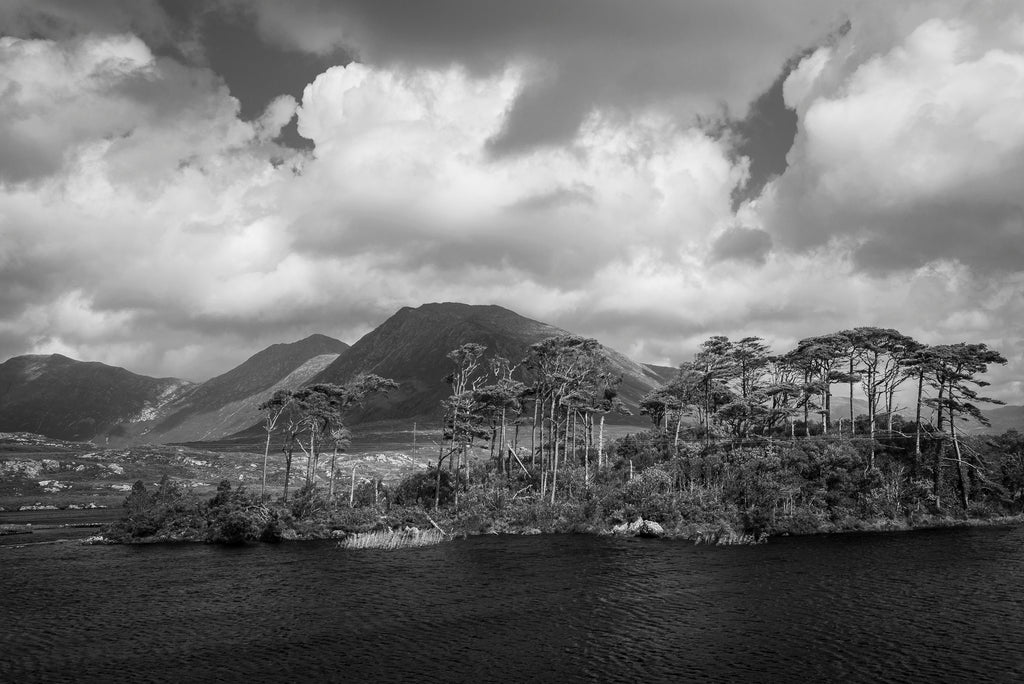 Eoghan Cullen, Pine Island