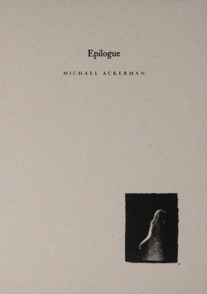 Epilogue, Michael Ackerman