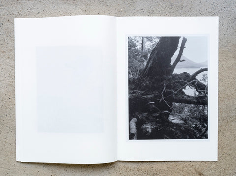 Deconstructing a Mountain, Fionn McCann