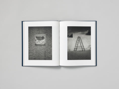 False Friends, Dominic Turner
