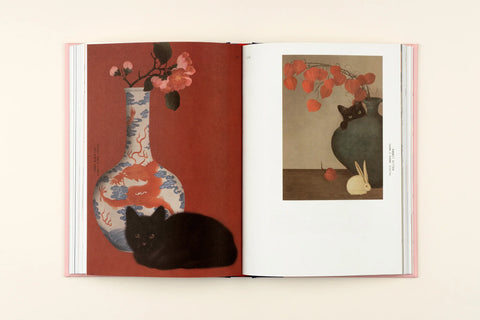 Felinity An Anthology of Illustrated Cats from around the World