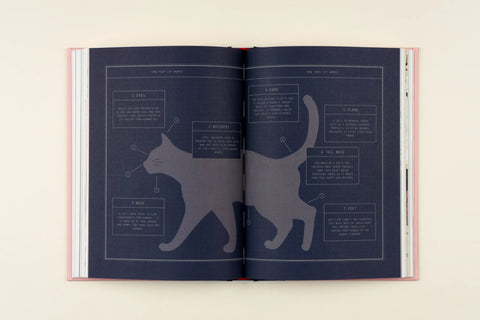Felinity An Anthology of Illustrated Cats from around the World