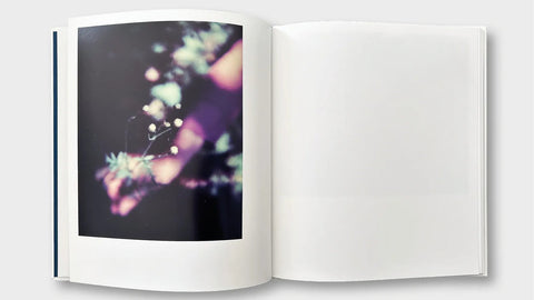 For A Fleeting Moment, Simone Kappeler