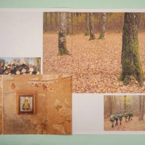 Forests of Latvia, Alan Gignoux