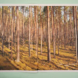 Forests of Latvia, Alan Gignoux