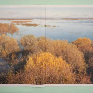 Forests of Latvia, Alan Gignoux