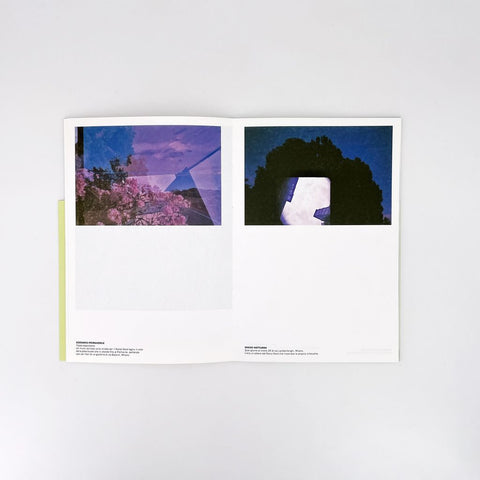 Fortuiti scorci di luce e Vedute taciturne (Haphazard Glimpses of Light and Hushed Sights), Amelia Dely and Tanguy Bombonera