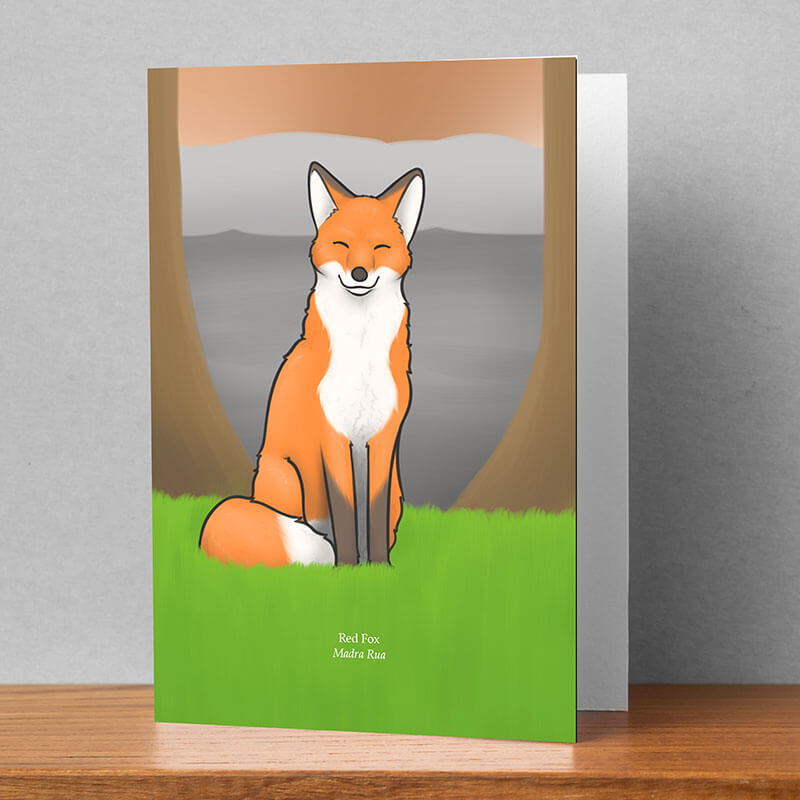 Red Fox Greeting Card, Joe Hollingsworth & OystercatcherTF