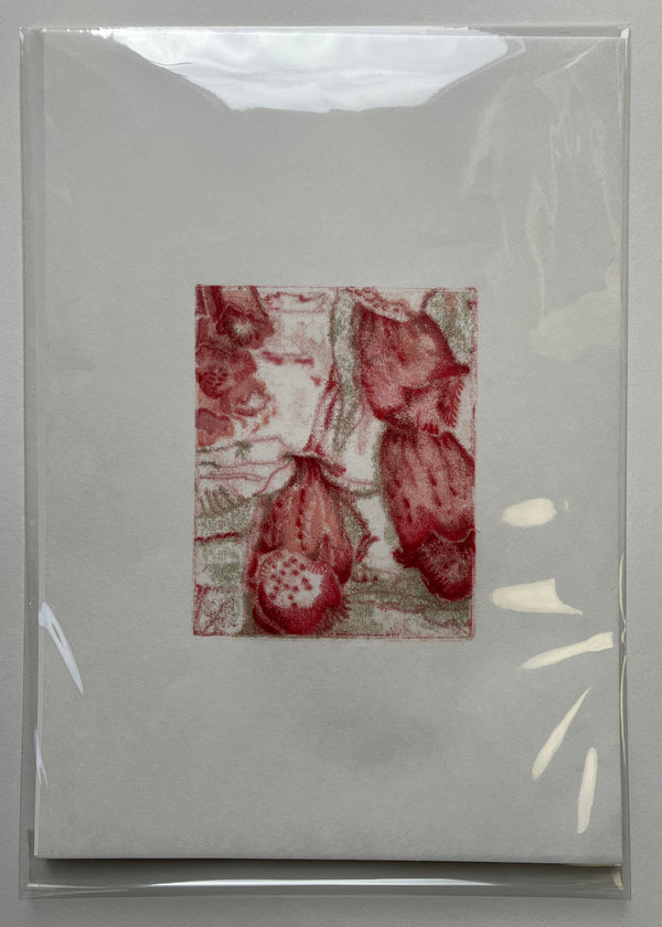 Liza Kelly, Foxgloves II