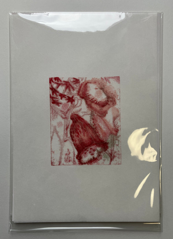 Liza Kelly, Foxgloves IV