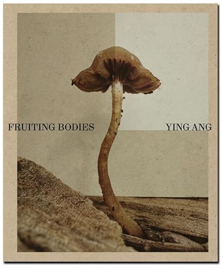 Fruiting Bodies, Ying Ang