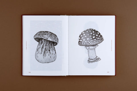 Fungal Inspiration