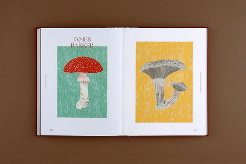 Fungal Inspiration