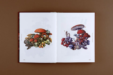 Fungal Inspiration