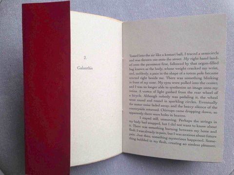 Opium for Ovid - Chapter 2 - Galanthis, Yoko Tawada