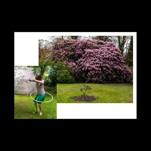 Enacted Garden, Gerry Blake & Carmel Ennis