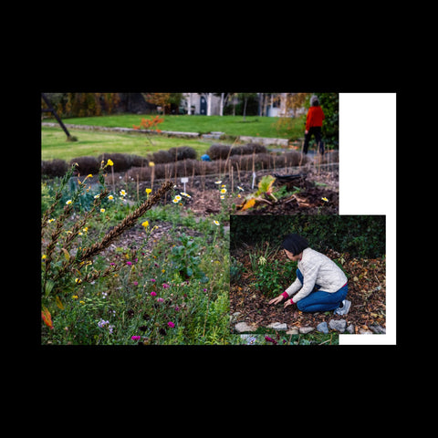 Enacted Garden, Gerry Blake & Carmel Ennis