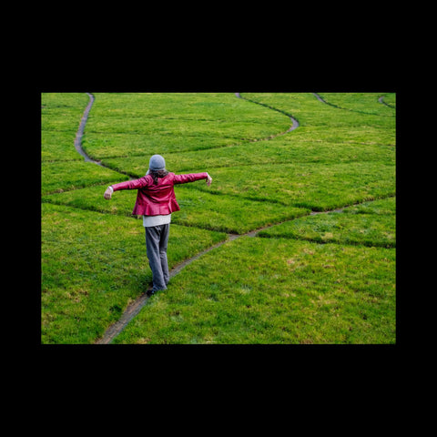 Enacted Garden, Gerry Blake & Carmel Ennis